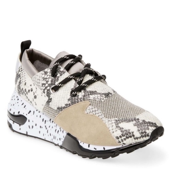 steve madden snake sneakers